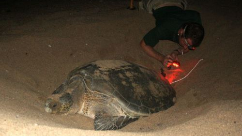 1555494_10153751051140094_1476232225_n