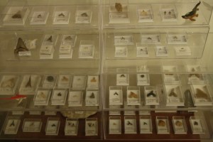 My first display cases.