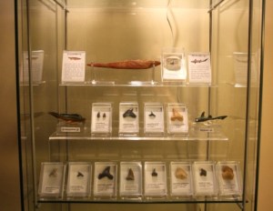 post-7075-0-46052100-1326701064