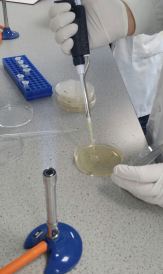 11402721_999695580042545_8658275728415005446_n