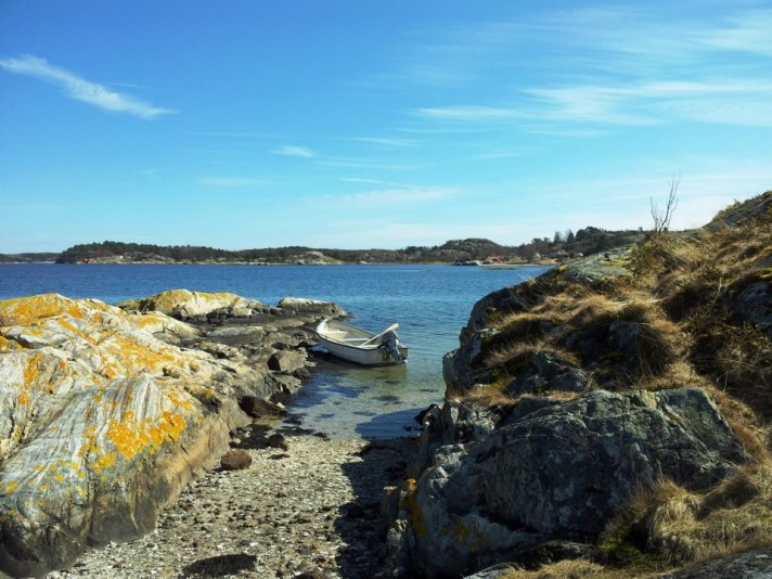 944948_602606533084787_2029396993_n