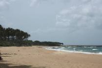 1462747_701128783232561_893215606_o