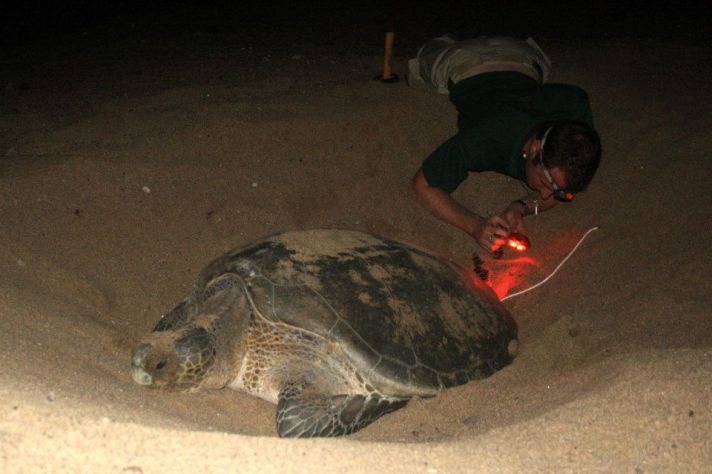 1555494_10153751051140094_1476232225_n