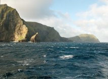 1916404_104441272901318_6164298_n