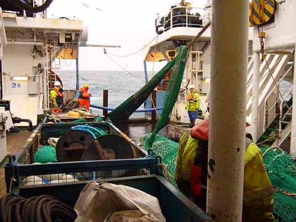 1916404_104441342901311_592290_n