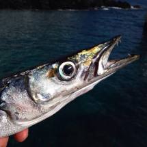 22538686_125915741461281_814567968455723310_o