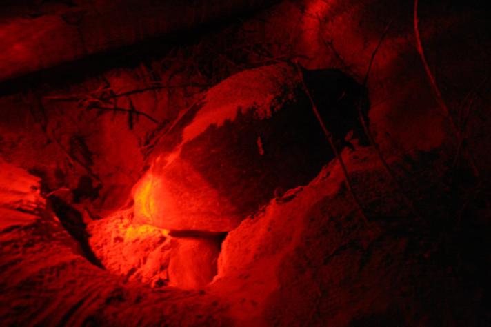 904180_701128259899280_339081300_o