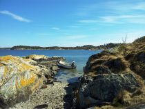 905289_602606533084787_2029396993_o